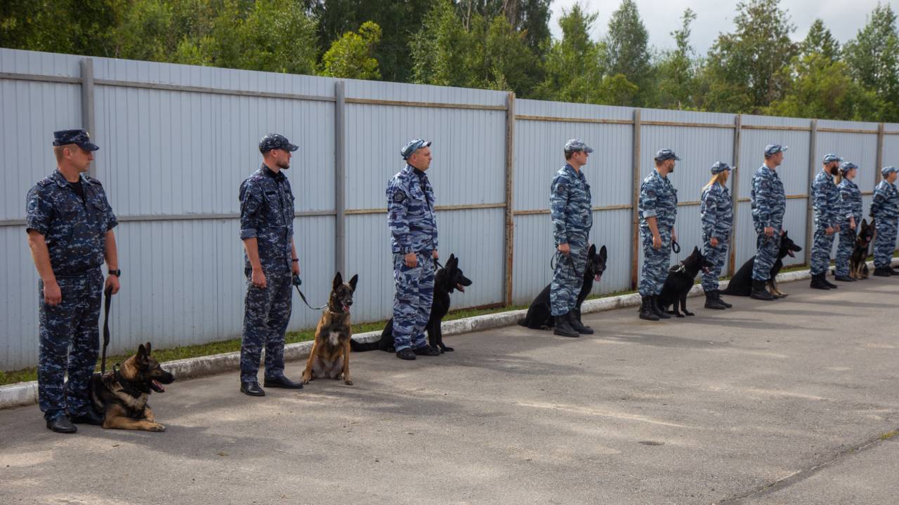 В Вологде состоялись межрегиональные учебно-методические сборы специалистов-кинологов
