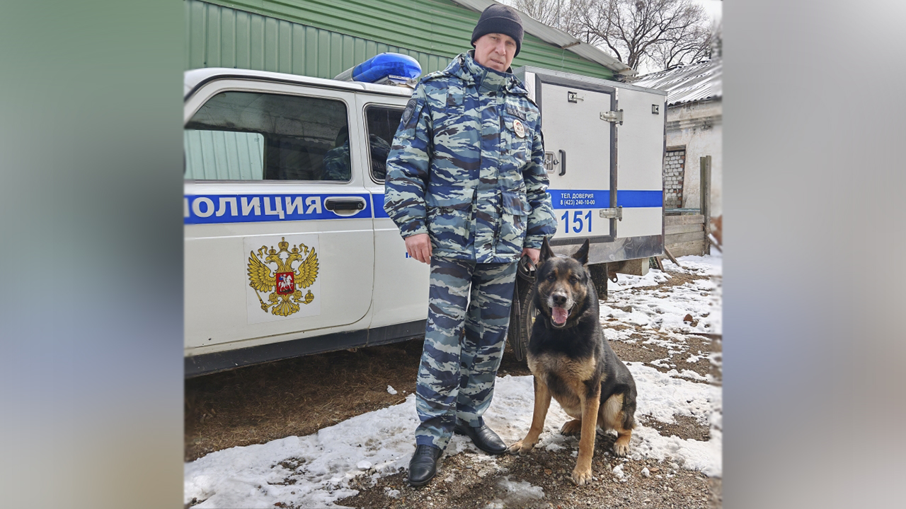 Служебный пёс по кличке Ефим помог полицейским Уссурийска задержать подозреваемого в краже труб