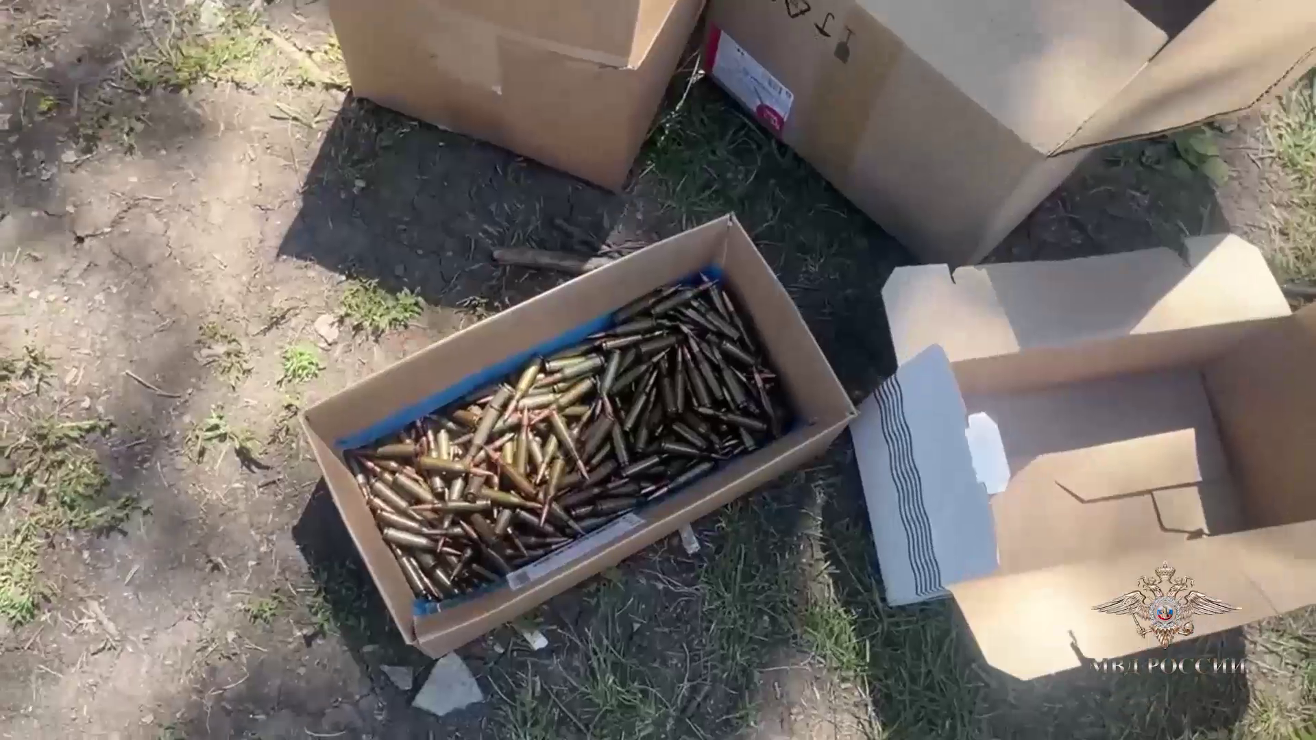 Ирина Волк: В Белгородской области задержана группа лиц, подозреваемых в незаконном обороте оружия, боеприпасов и взрывных устройств
