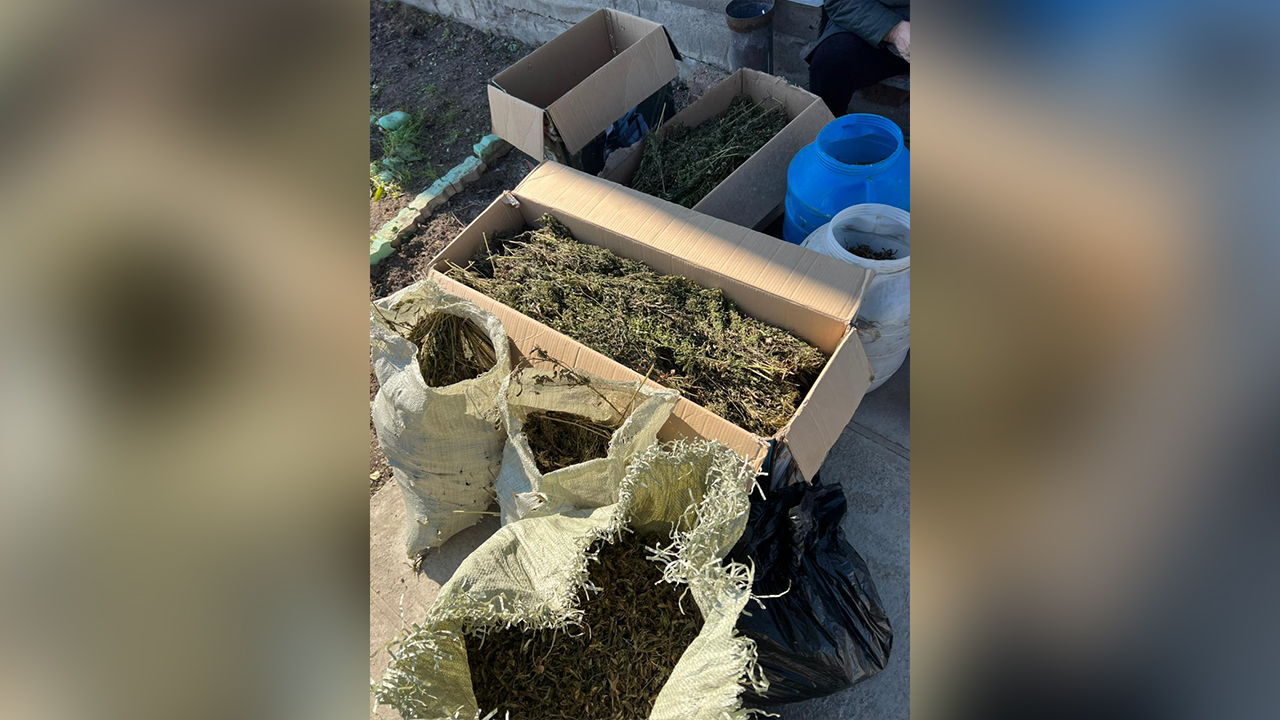 Полиция изъяла у 46-летнего жителя Приморья почти 44 кг марихуаны, заготовленной для личных целей