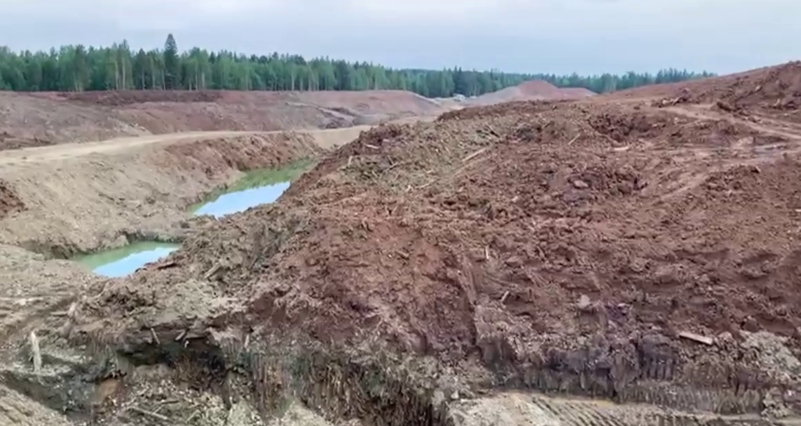 Полицейские Новоуральска установили подозреваемого в незаконной рубке леса