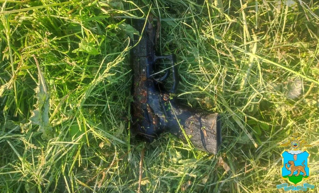 Житель Псковской области уличён полицейскими в краже оружия из машины и древесины с двух складов