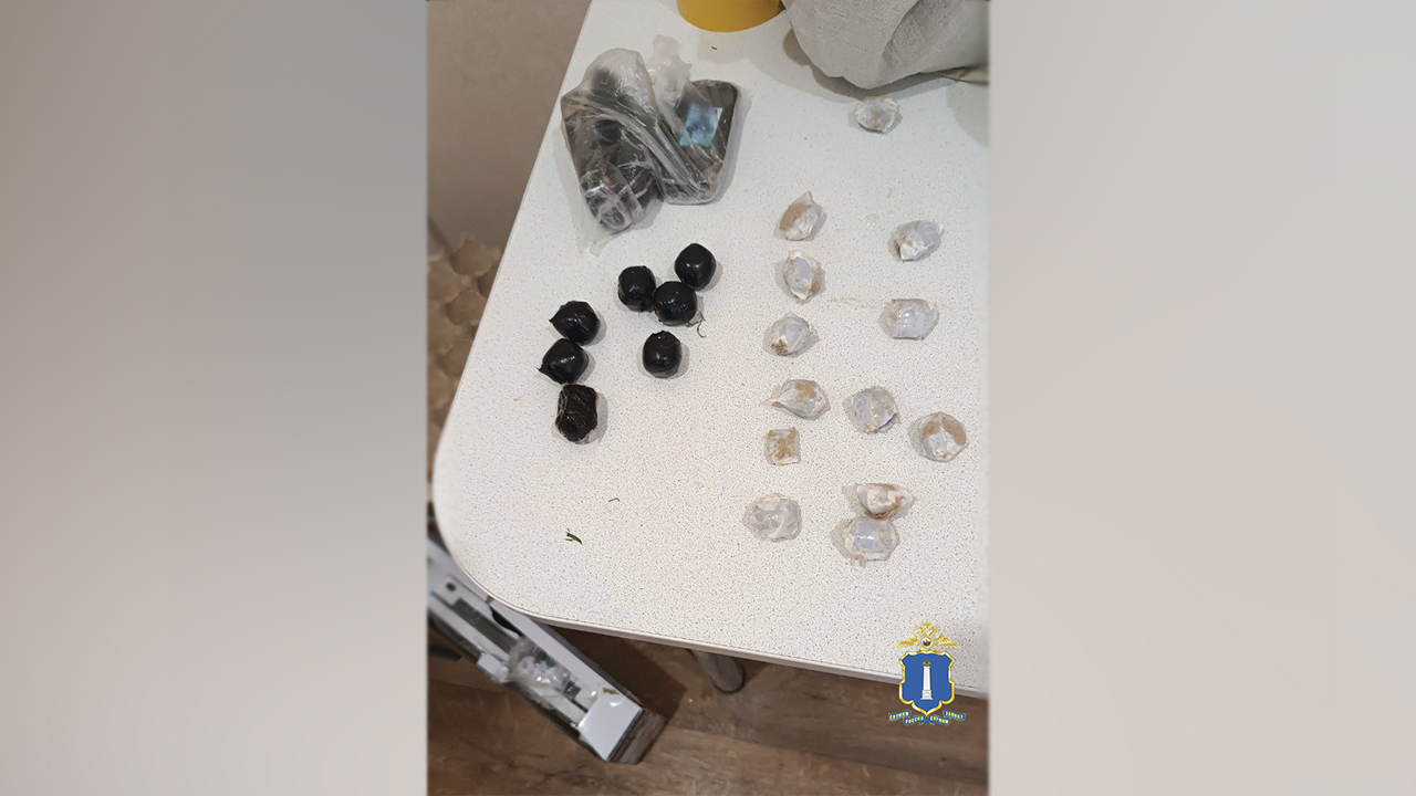 В Ульяновской области полиция пресекла попытку межрегионального наркокурьера сбыть 2 кг гашиша