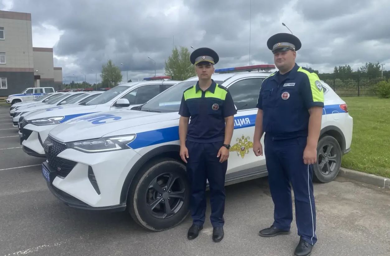 В Новгородской области инспекторы ДПС доставили в больницу мальчика, которого покусала бродячая собака