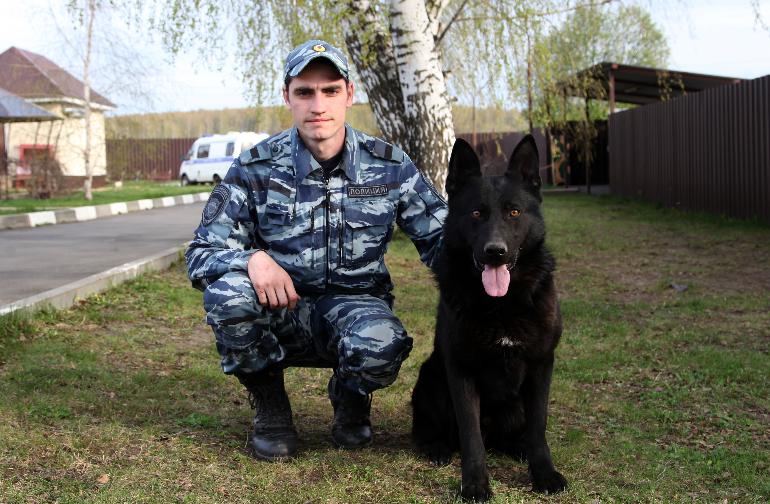 В Орле инспектор-кинолог со служебной собакой разыскали ушедшего из дома 4-летнего ребёнка