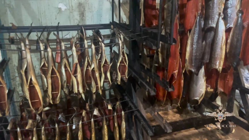 На Камчатке полицейские пресекли незаконный оборот рыбной продукции