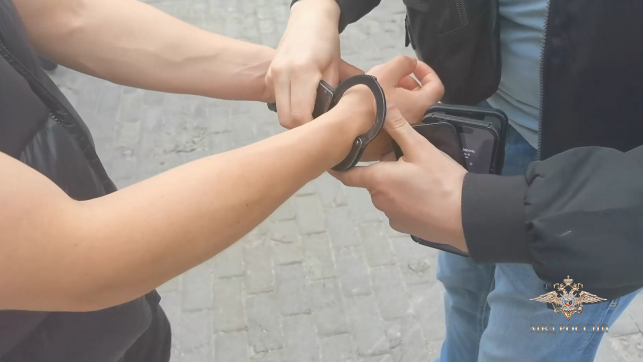 Ирина Волк: В Санкт-Петербурге полиция пресекла деятельность участников организованный группы, которые совершали мошенничества в отношении посетителей ресторанов