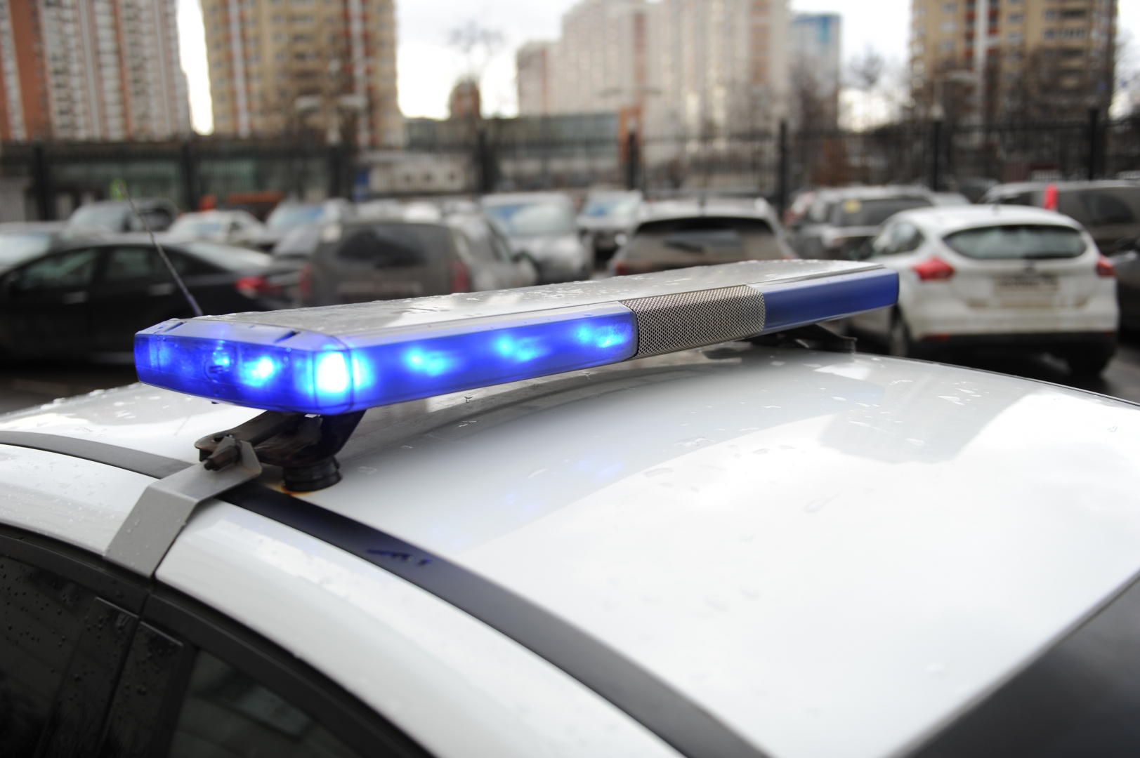 Во Владимирской области задержаны граждане Белоруссии по подозрению в кражах из фур