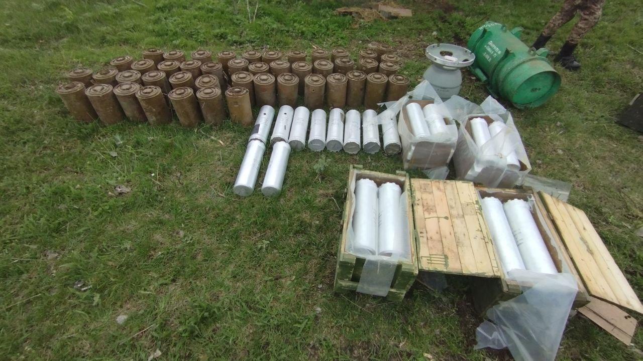 Полицейские в Запорожской области обнаружили крупный схрон с боеприпасами разного калибра