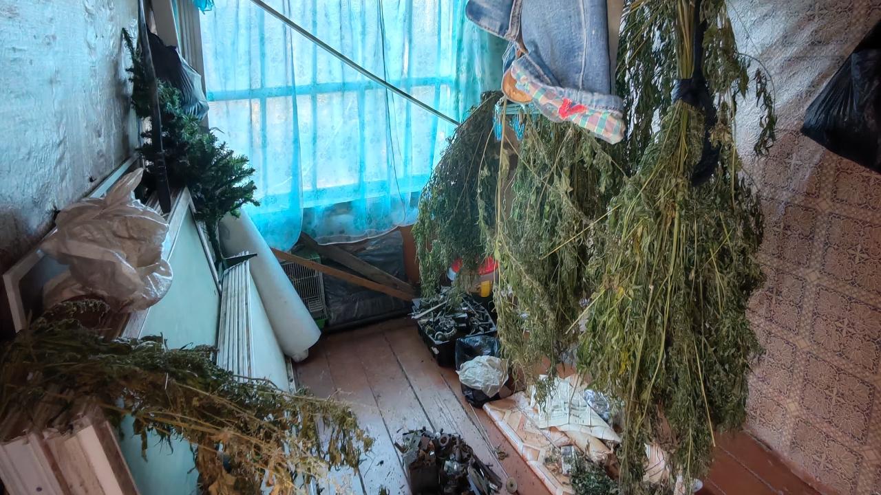 В Хабаровском крае полицейские уличили двух местных жителей в незаконном хранении конопли