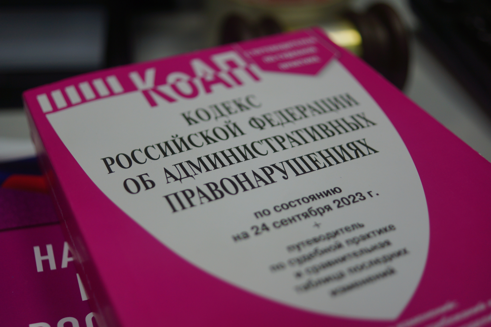 Жителю Саранска назначено 80 часов обязательных работ за публикацию в соцсети запрещённой символики