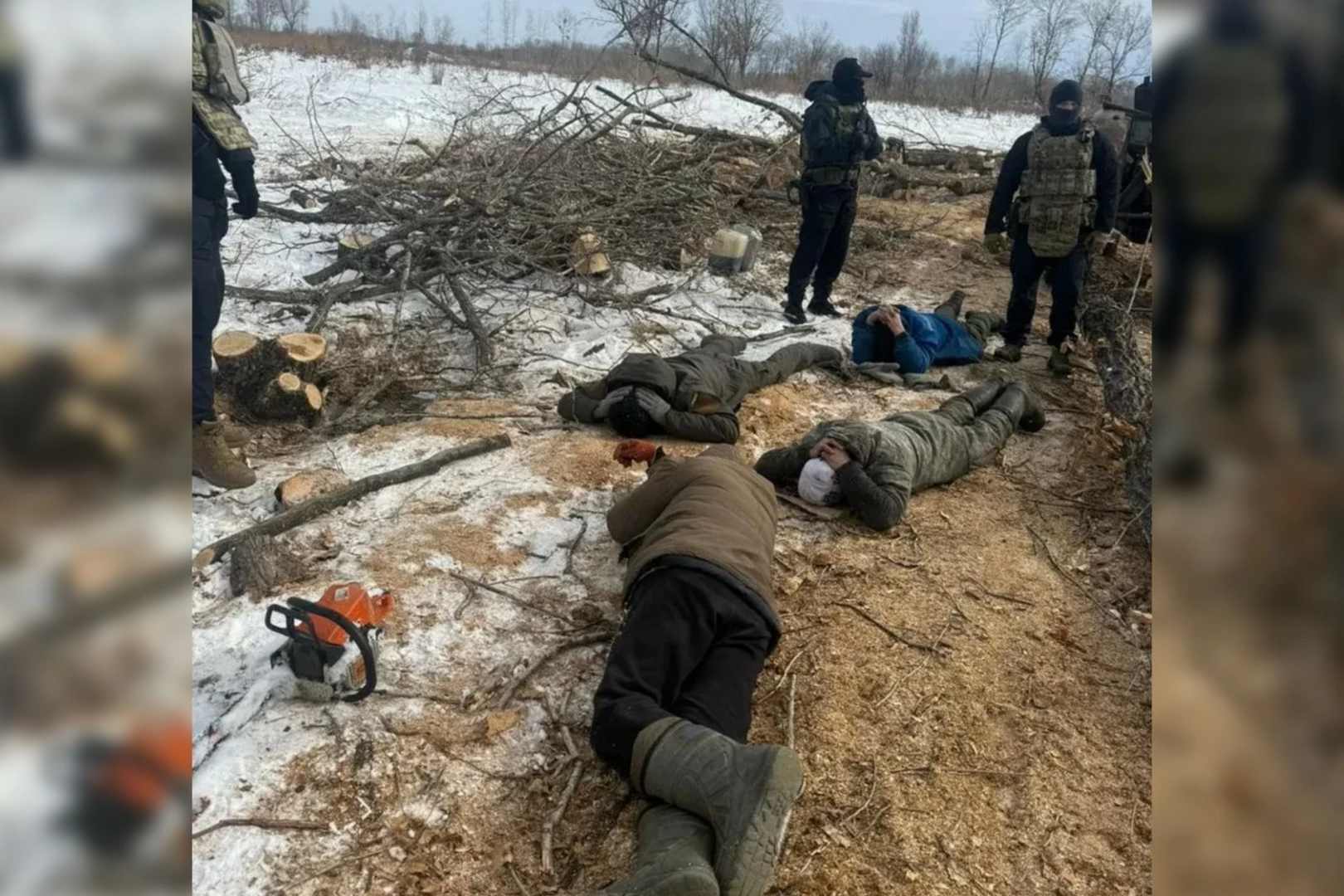 Хабаровские полицейские задержали группу «чёрных лесорубов», спиливших деревья на 25 млн рублей