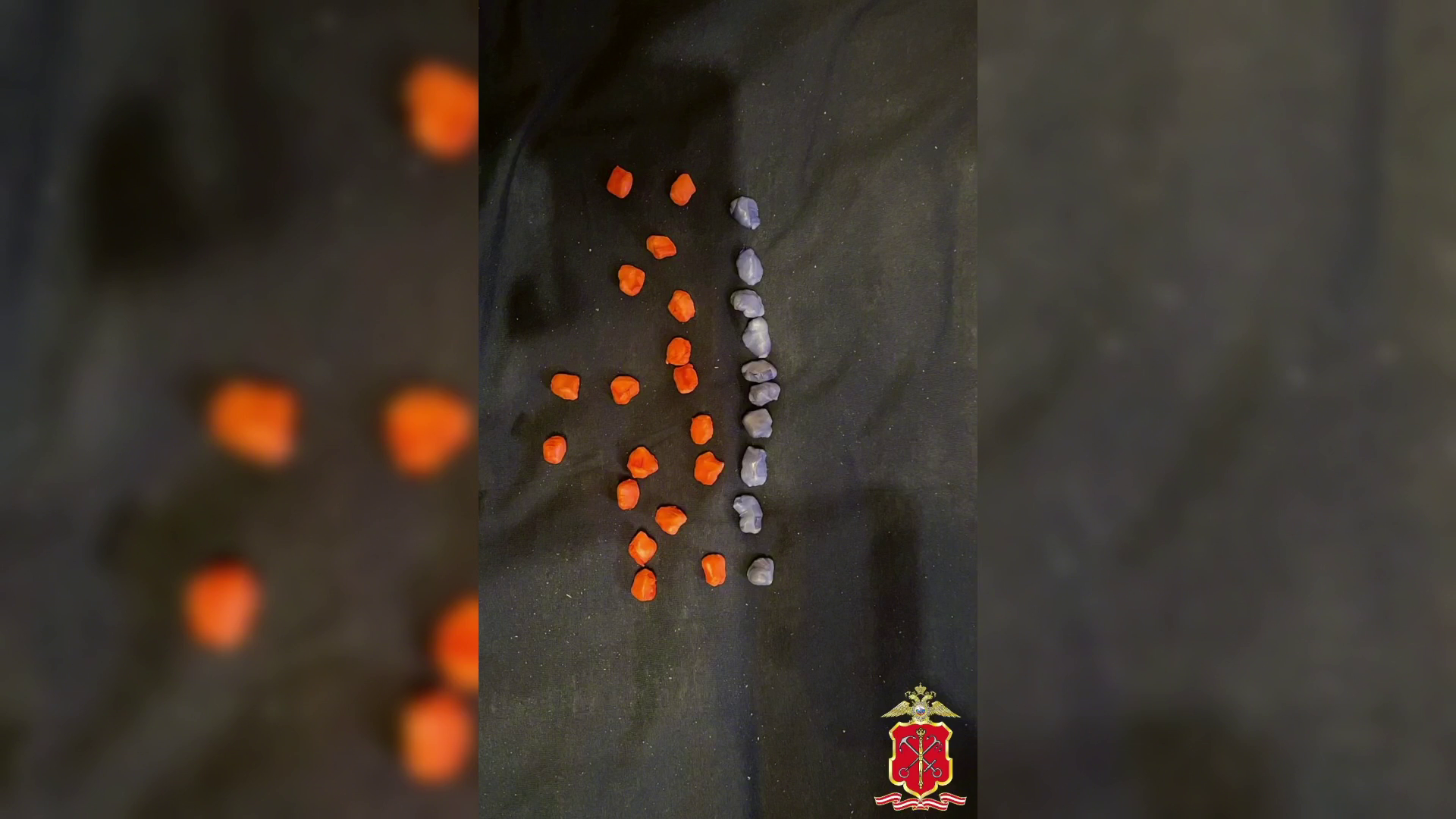 Полицейские Санкт-Петербурга пресекли деятельность трёх распространителей метадона