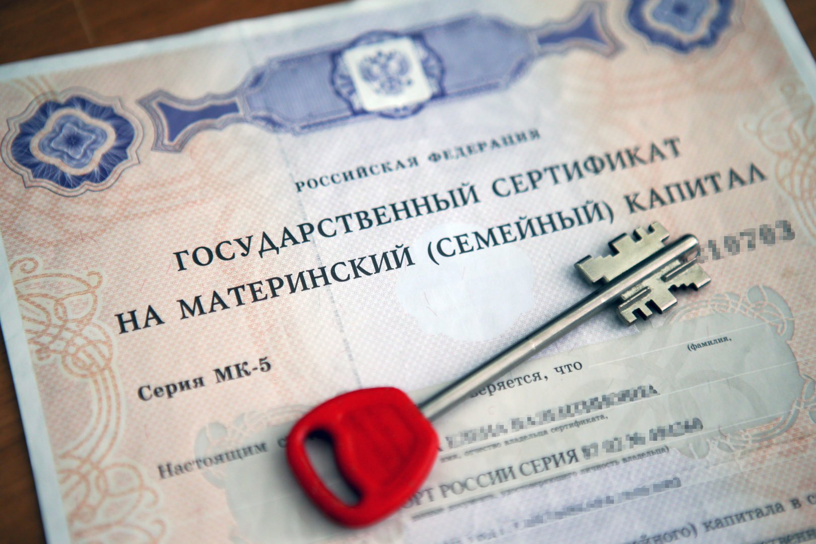 Ирина Волк: В Омске перед судом предстанут обвиняемые в мошенничестве с использованием средств материнского (семейного) капитала