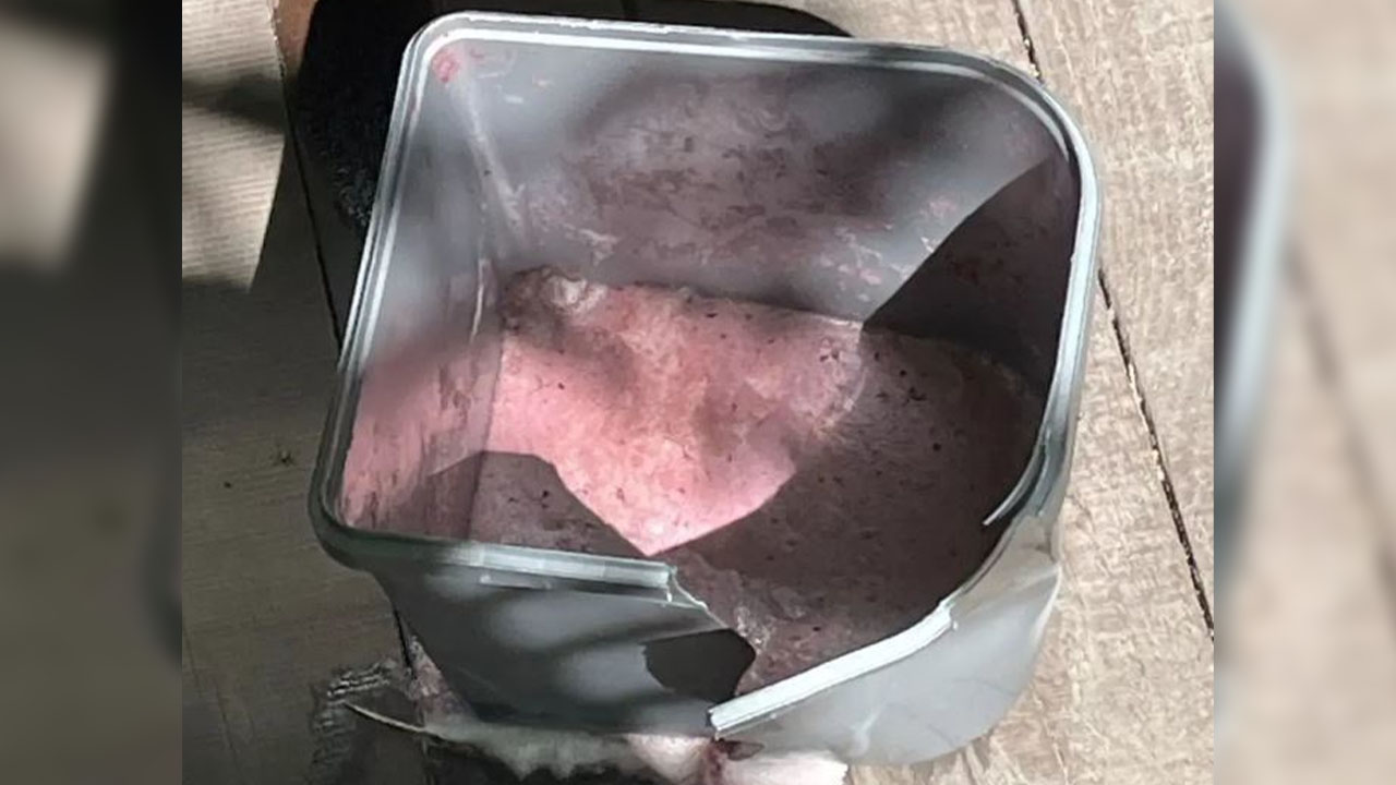 Полиция по горячим следам поймала в Ульяновске ночного похитителя алкогольного мороженого в парке