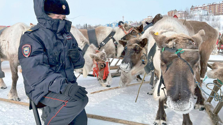 «Нани торова!» из Арктики
