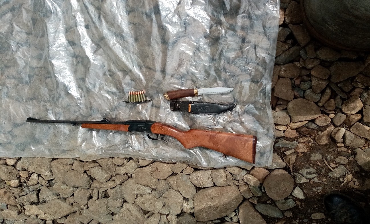 В Забайкалье транспортная полиция направила в суд уголовное дело о незаконной охоте на трёх косуль