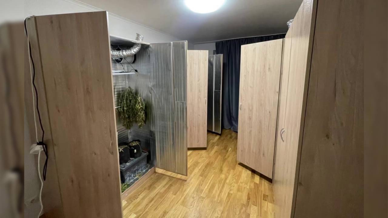 Наркоагроном, выращивавший коноплю в мебельных шкафах своей квартиры, задержан полицией Москвы