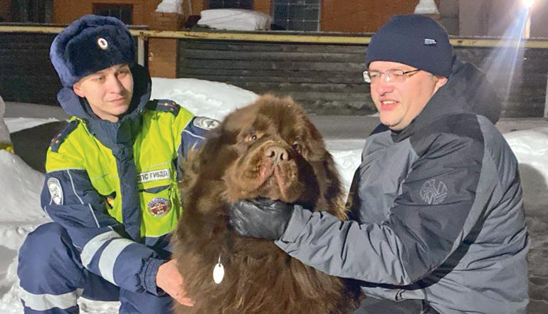 Вернули друзей в семью
