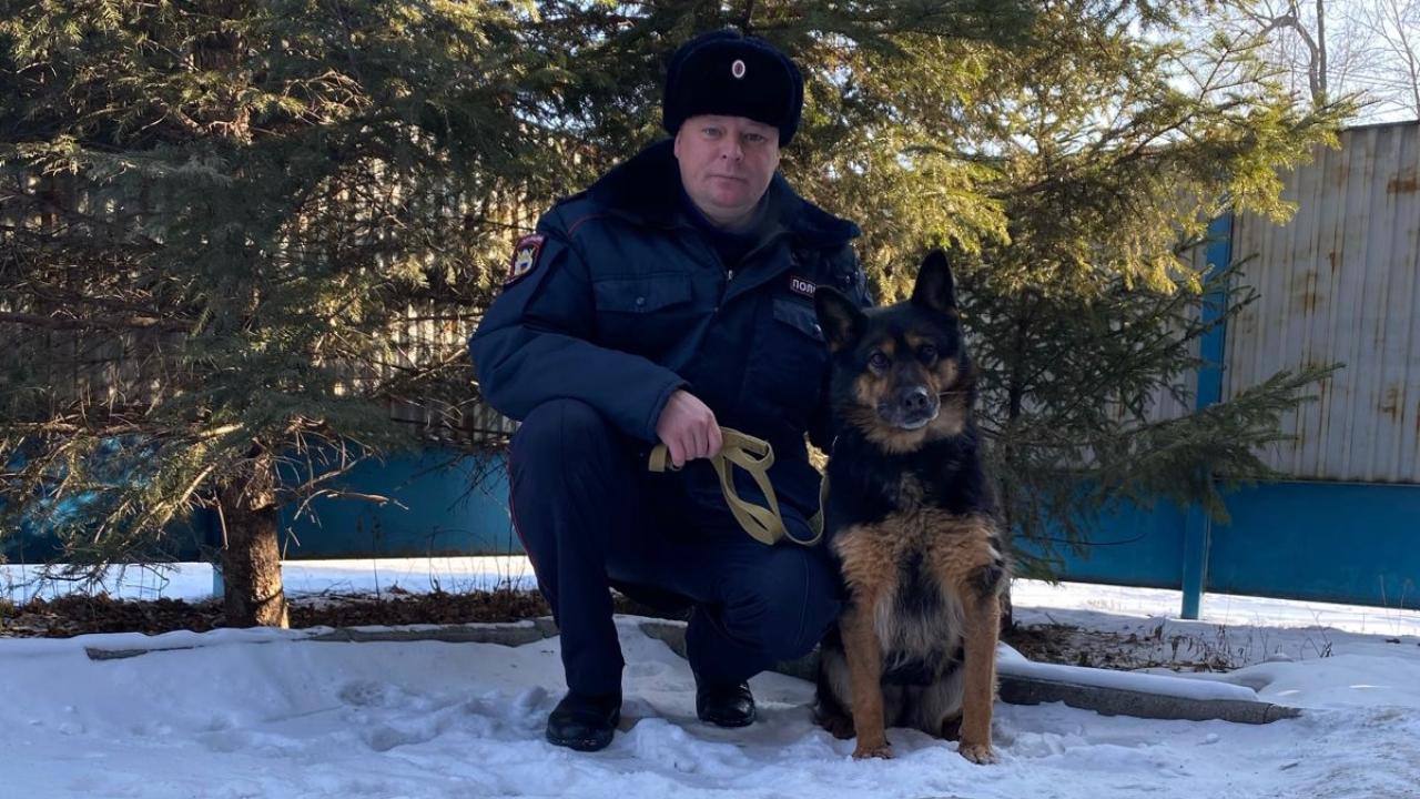 Служебная собака по кличке Винчестер помогла полицейским Приморья раскрыть тяжкое преступление