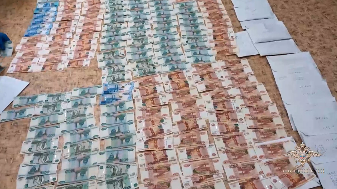 Ирина Волк: Сотрудники МВД России задержали подозреваемых в организации незаконного распространения сильнодействующих медицинских препаратов