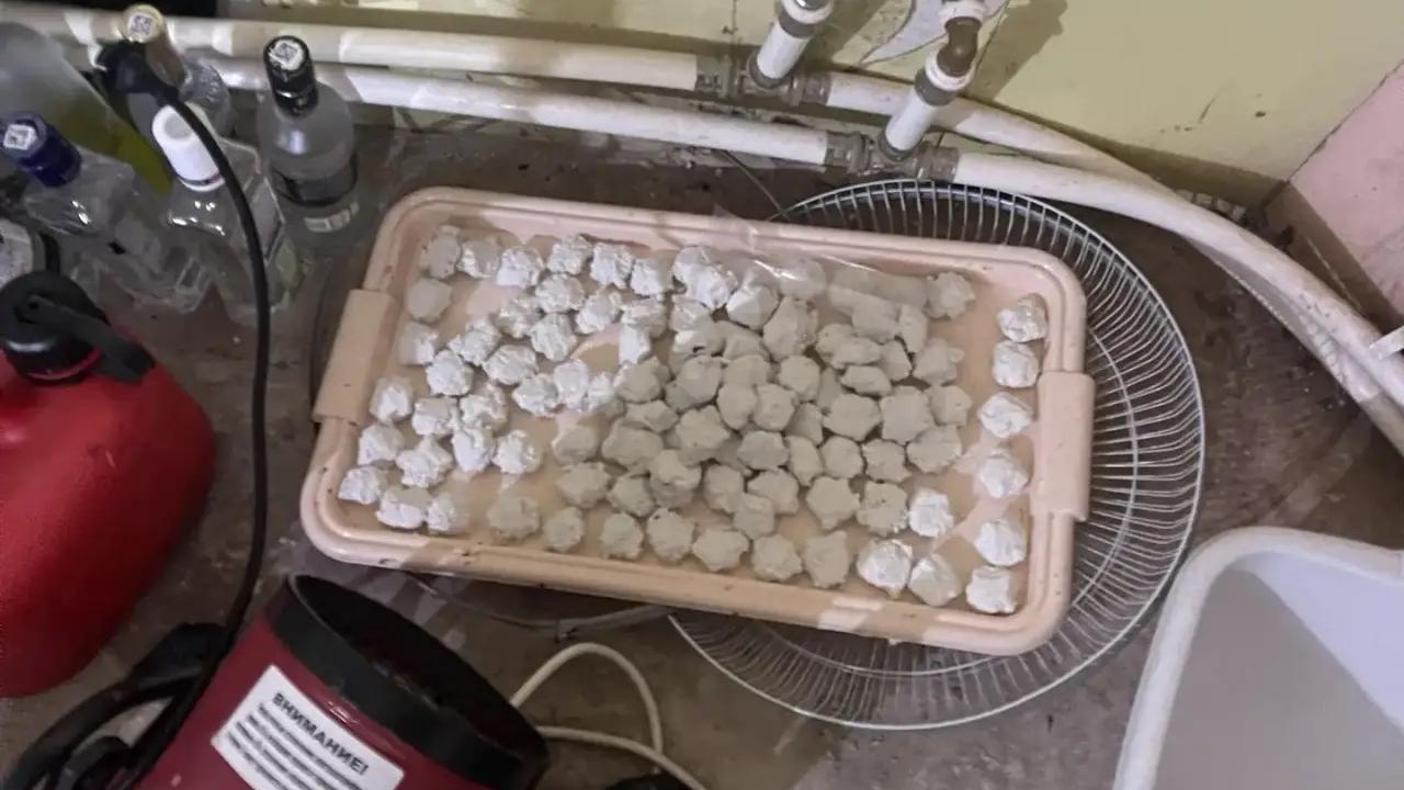 План жителя Тюмени сбыть 20 кг мефедрона через свой магазин по продаже наркотиков сорвали полицейские