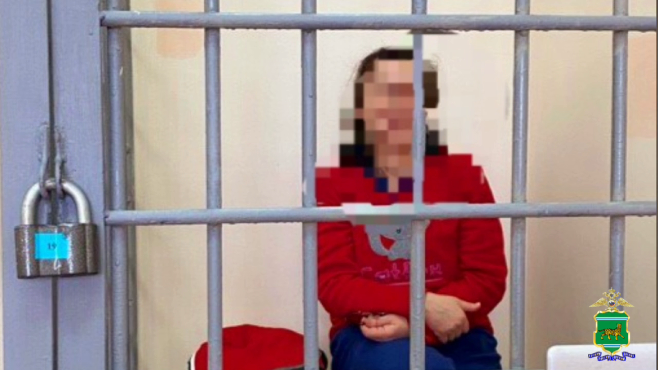 Женщину, обманувшую своих земляков на 31 млн рублей под видом продажи квартир в Сочи, осудят в ЕАО