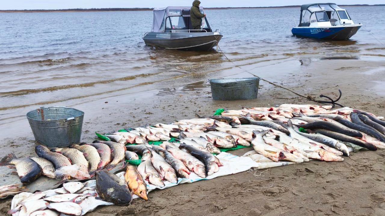 Два браконьера задержаны полицией за незаконный вылов рыбы в акватории заповедника «Ненецкий»