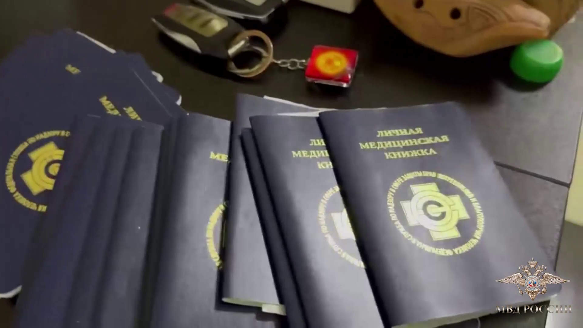 Ирина Волк: Сотрудники столичной полиции перекрыли канал незаконной миграции