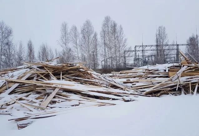 В Красноярском крае выявлена контрабанда почти тысячи кубометров древесины на 4,7 млн рублей