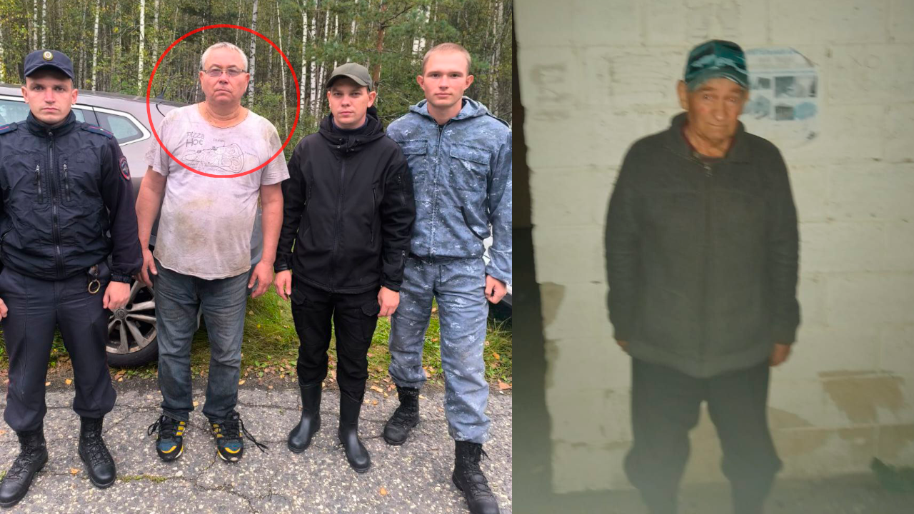Полицейские за сутки нашли двоих грибников, заплутавших в лесу в Ельниковском районе Мордовии
