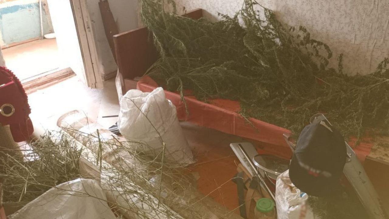 В Херсонской области полицейские изъяли у местного жителя 3 мешка с коноплей и почти 1 кг марихуаны