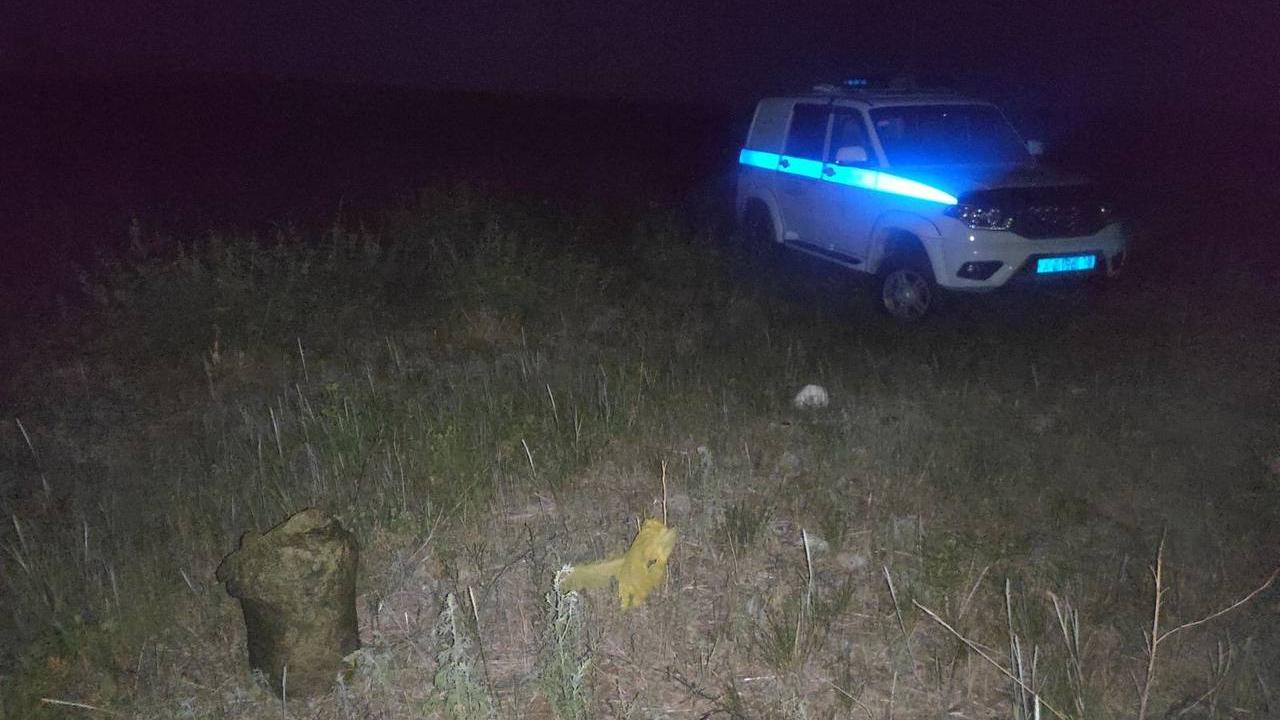 Забайкальские полицейские задержали мотоциклиста, перевозившего 15 кг свежесобранной конопли