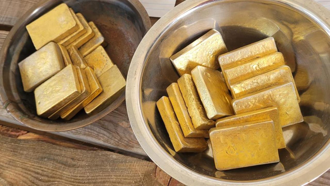 Амурские полицейские выявили бригаду нелегальных мигрантов-старателей, незаконно добывших 17 кг золота