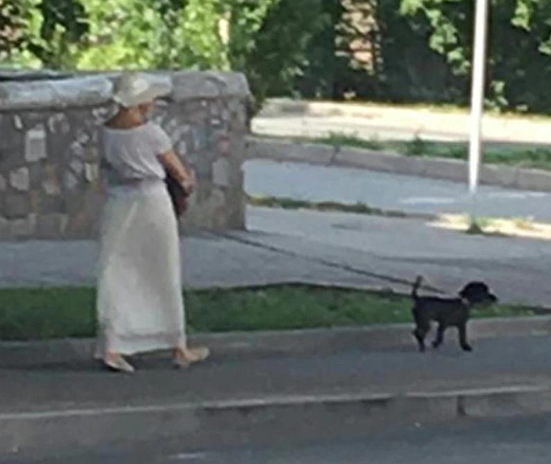 В Башкортостане сотрудники полиции за попытку сбыта наркотиков задержали даму с собачкой