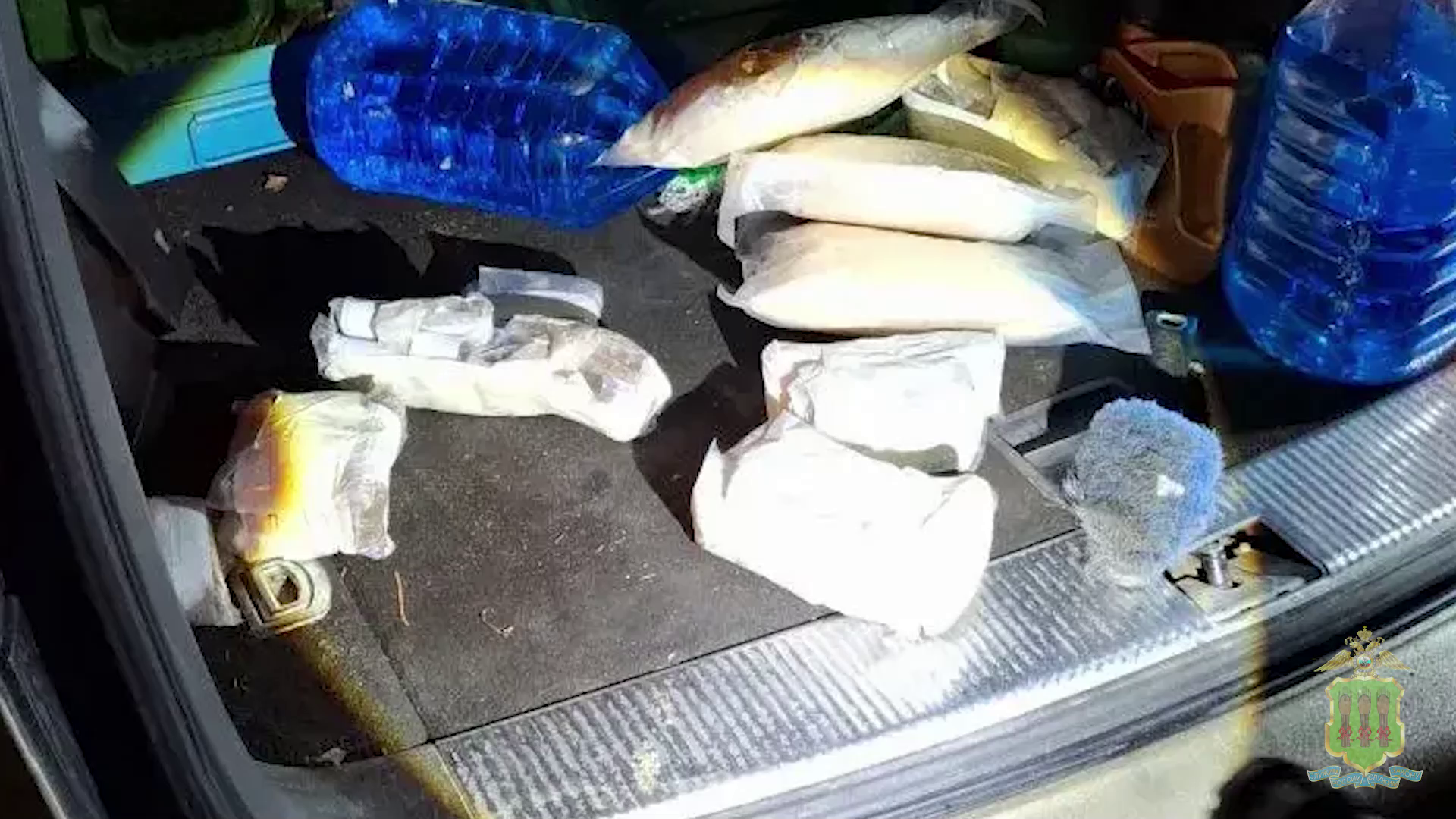 Пензенские полицейские не позволили наркокурьеру сбыть 6 кг мефедрона и гашиша в трёх регионах России