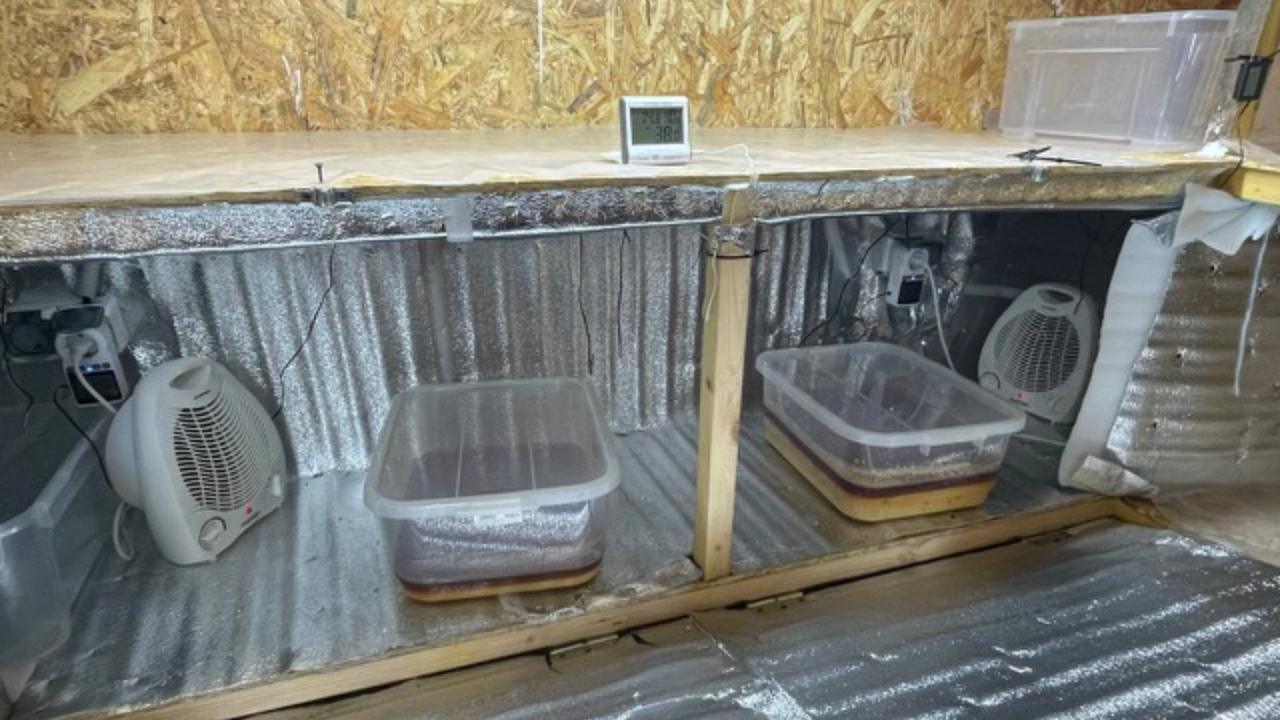 Наркоцех, организованный в Тамбовской области супругами из Подмосковья, ликвидировала полиция