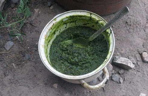 В Хакасии полицейские задержали наркодельца, приготовившего отвар из конопли на молоке