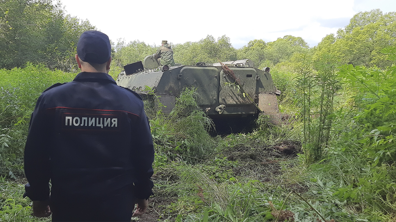 В Хабаровском крае силовиками уничтожено более трёх тысяч кустов дикорастущей конопли