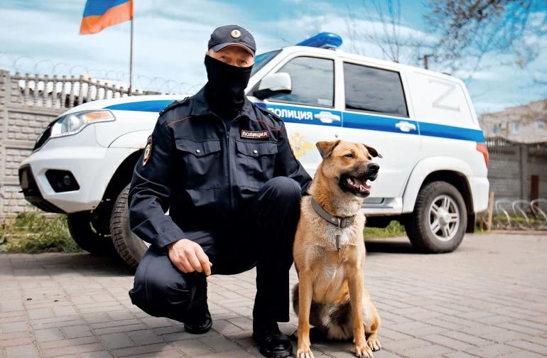 Хвостатый патруль