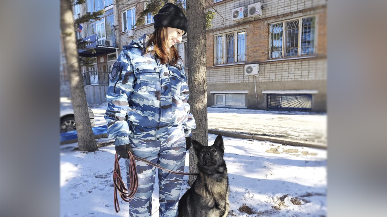 В Приморье служебная собака по кличке Ямайка помогла полицейским раскрыть тяжкое преступление