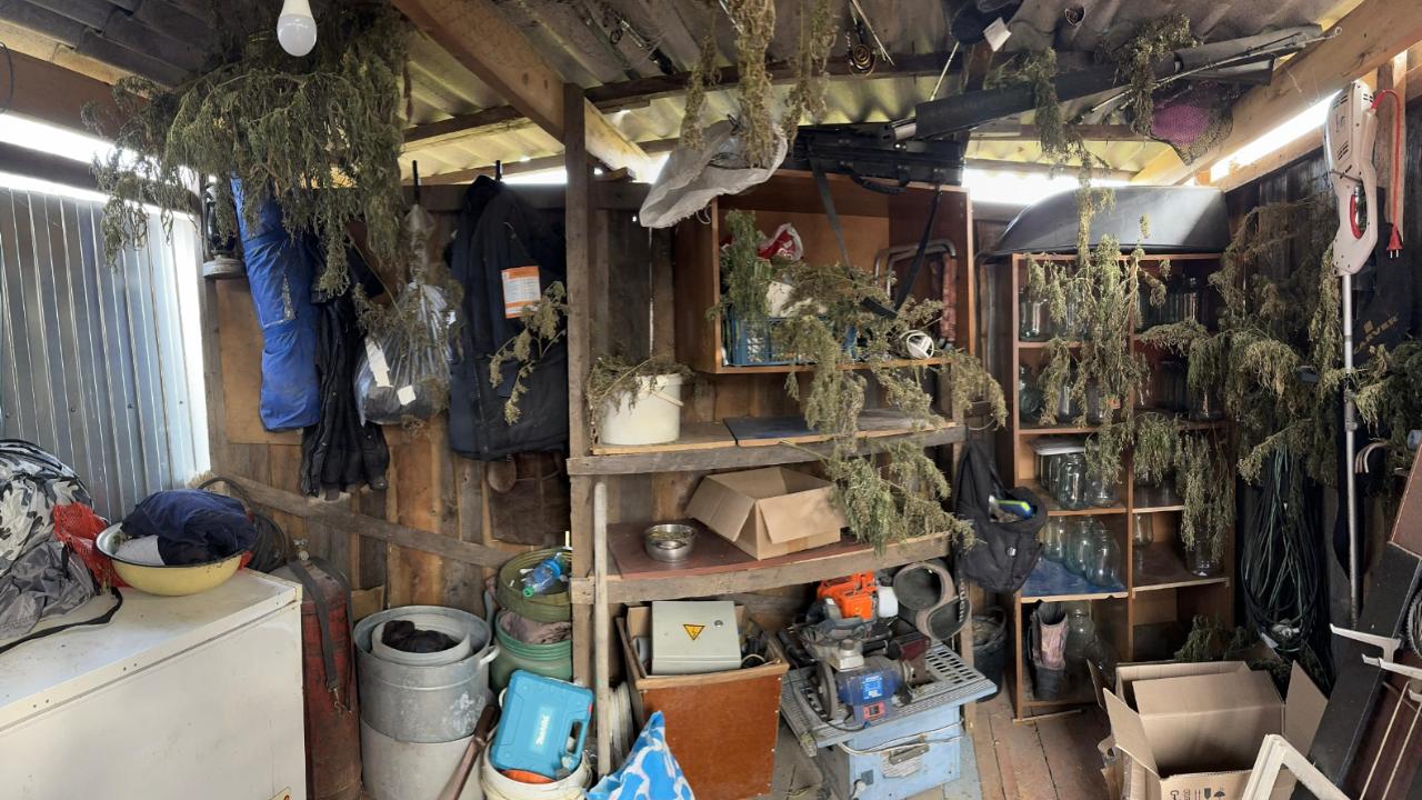 Житель Хабаровского края, хранивший 5 кг марихуаны якобы в лечебных целях, стал фигурантом уголовного дела