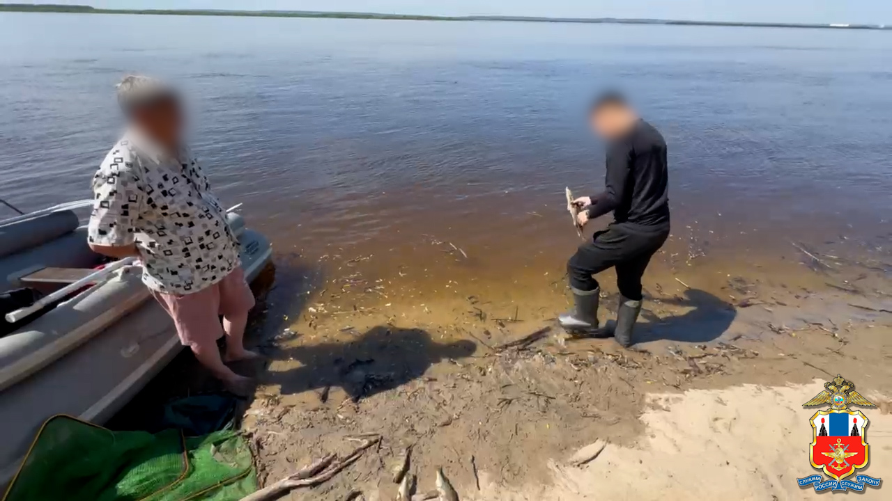 В Якутии осудят браконьера за незаконный вылов в реке Лена краснокнижных осетров на 1,5 млн рублей