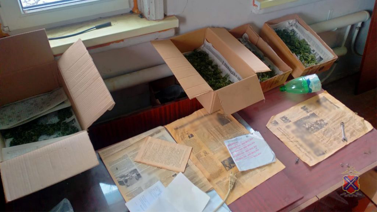 Волгоградские полицейские задержали 44-летнего мужчину, торговавшего марихуаной из дома