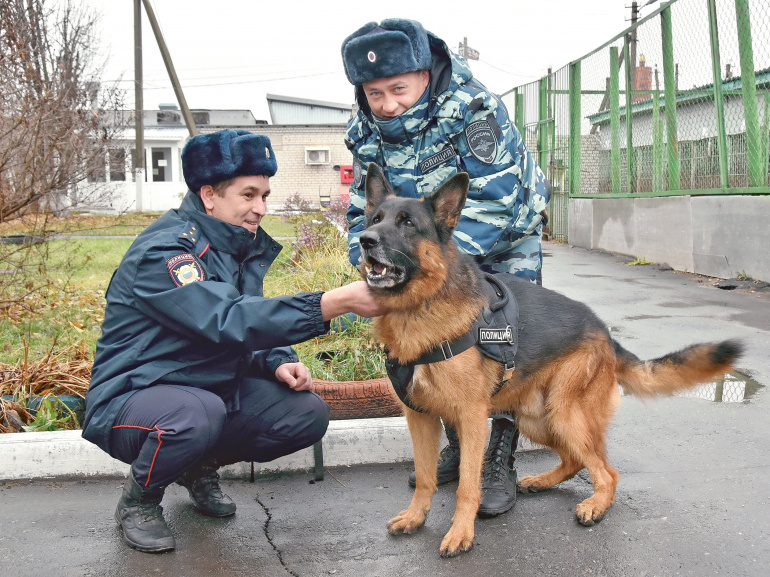 «Лохматый Оскар» за человеческие поступки