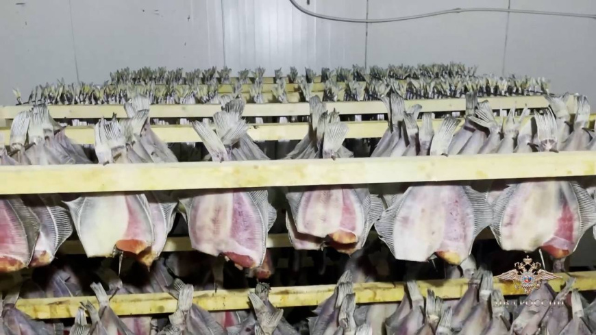В Москве полицейские изъяли из незаконного оборота более 10 тонн рыбной продукции