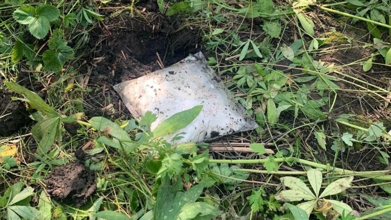Житель Санкт-Петербурга задержан за попытку сбыта более 1 кг гашиша и мефедрона в Мордовии