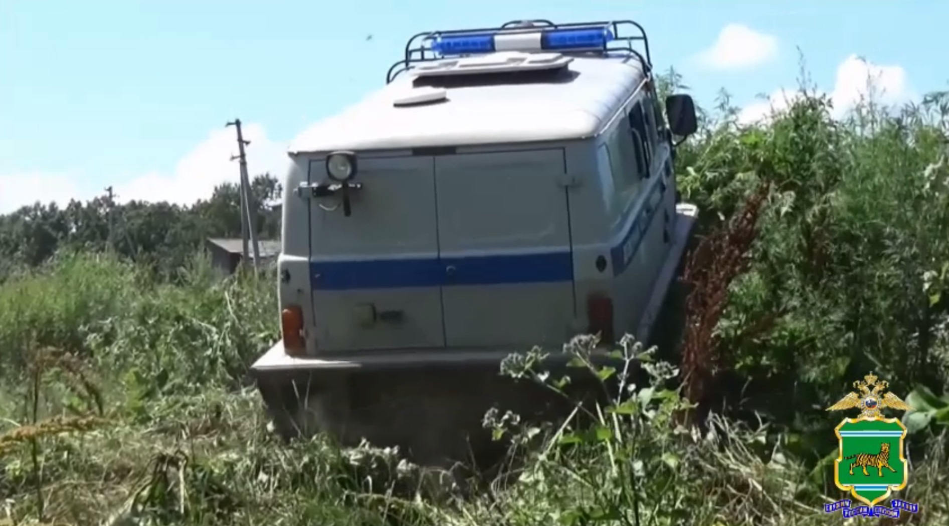 В Еврейской автономной области полицией уничтожено 25 очагов произрастания дикорастущей конопли