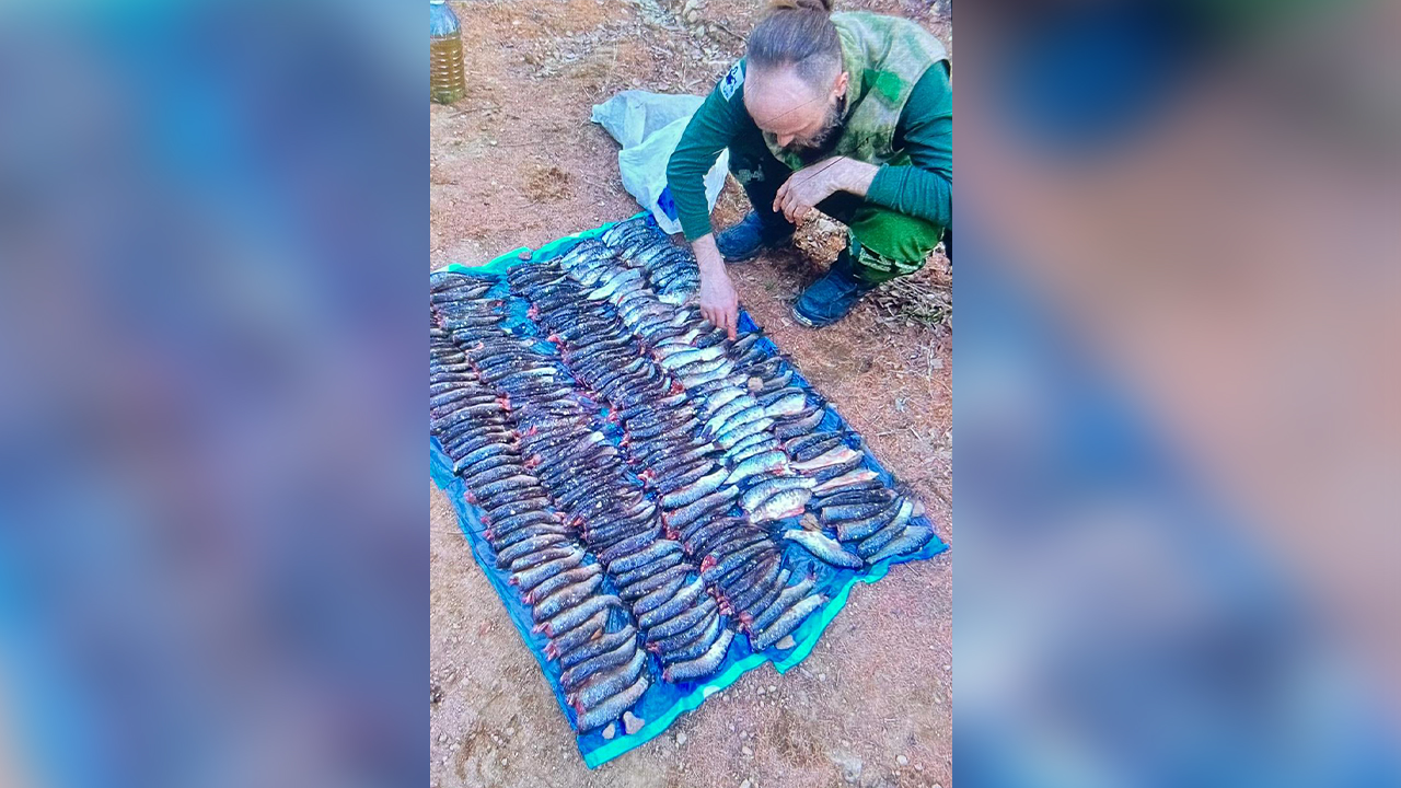 Транспортной полицией Забайкалья выявлен браконьер, незаконно выловивший более 200 амурских язей