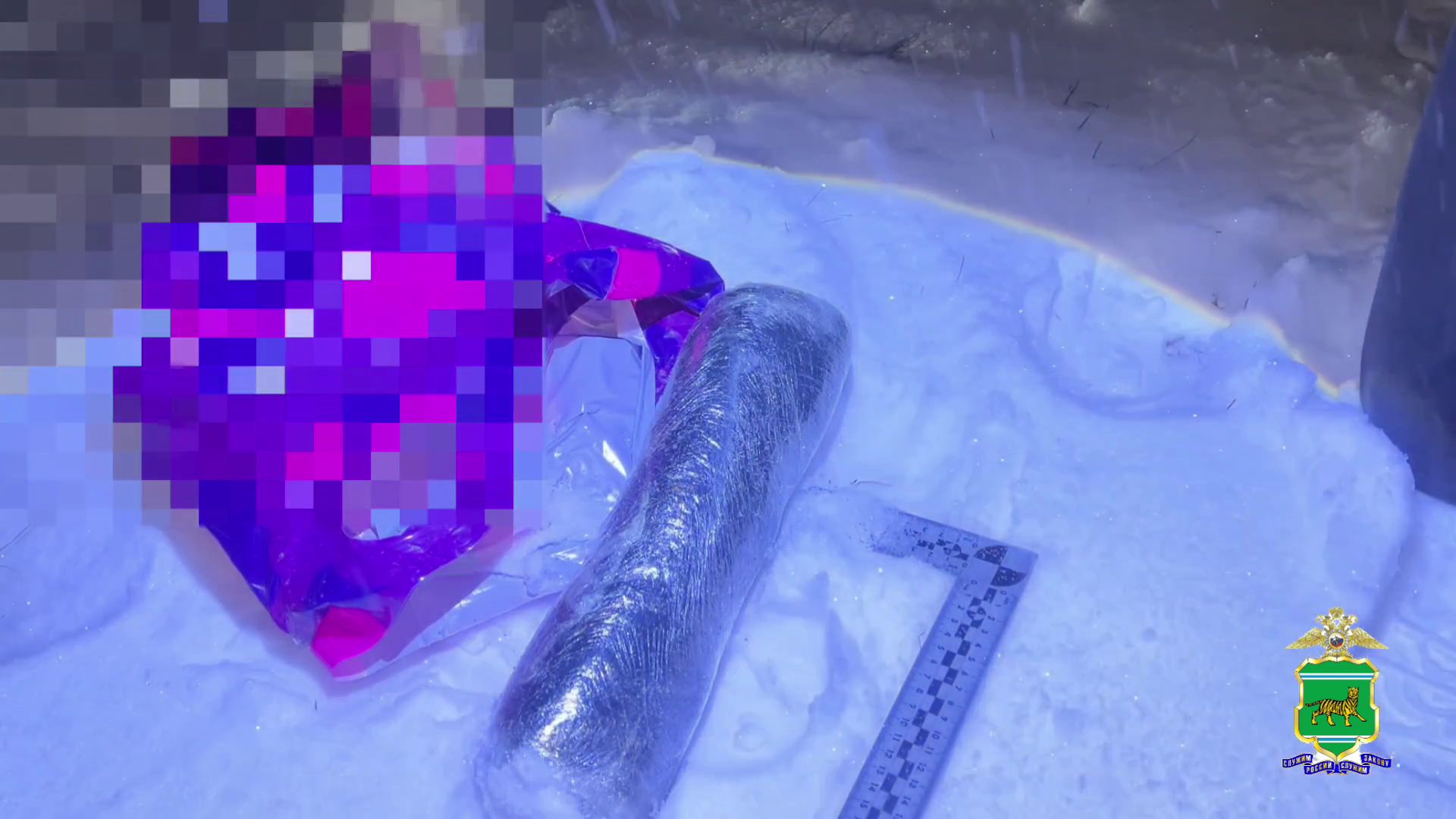 Почти полтора килограмма героина изъяли полицейские у наркозакладчика в Еврейской автономной области